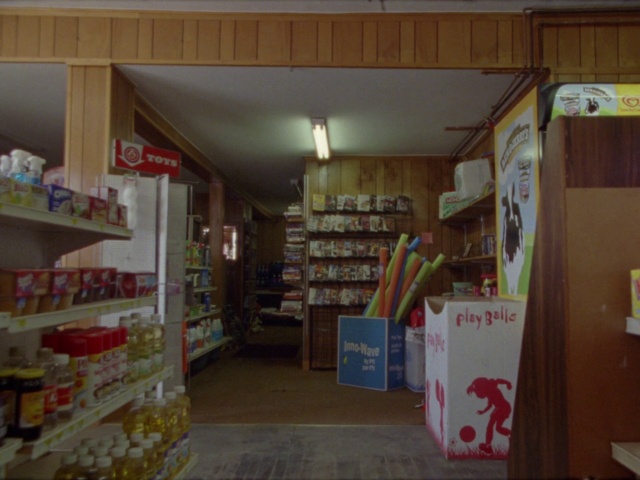 Video Reference: Property, Shelf, Product, Shelving, Publication, Wood, Building, Retail, Flooring, Convenience store