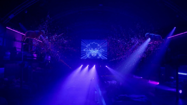 Video Reference: Water, Purple, Music, Performing arts, Sky, Concert, Visual effect lighting, Entertainment, Violet, Music venue