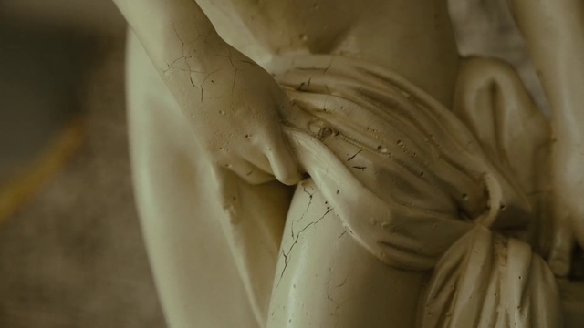 Video Reference: Plant, Petal, Sculpture, Flower, Art, Feather, Statue, Wing, Close-up, Wood
