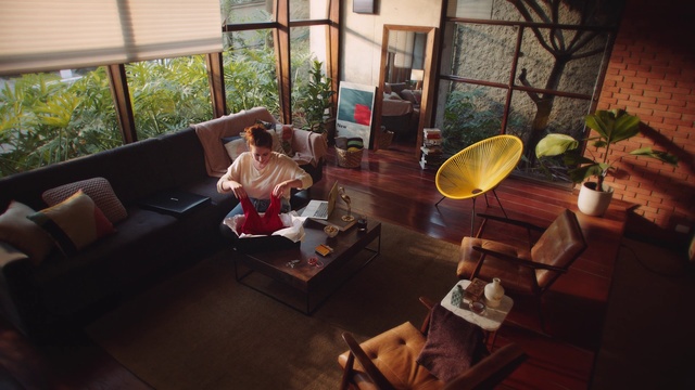 Video Reference: Furniture, Plant, Building, Couch, Comfort, Living room, Interior design, Table, Floor, Houseplant