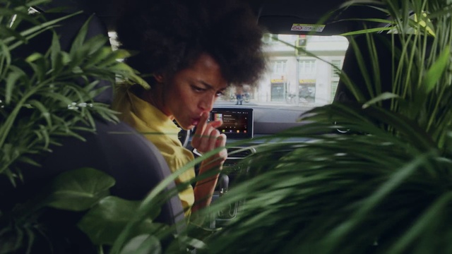 Video Reference: Plant, Hairstyle, Jheri curl, Organism, Terrestrial plant, Arecales, Grass, Black hair, Fun, Eyewear
