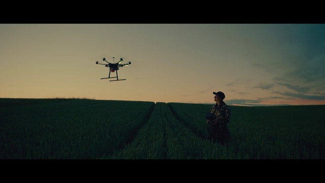 Video Reference: Sky, Cloud, Plant, People in nature, Gesture, Grass, Happy, Grassland, Tree, Horizon
