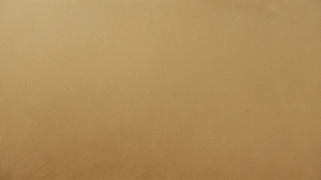 Video Reference: Brown, Amber, Wood, Beige, Tints and shades, Flooring, Pattern, Peach, Rectangle, Font