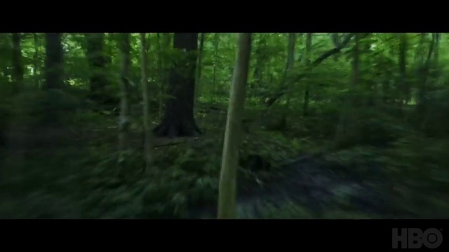 Video Reference: Plant, Green, Natural landscape, Tree, Terrestrial plant, Wood, Trunk, Grass, Font, Landscape