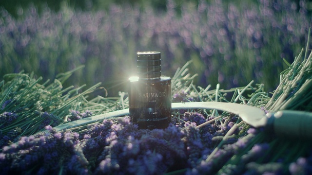 Video Reference: Plant, Water, Purple, Natural environment, Wood, Vegetation, Flash photography, Camera lens, Terrestrial plant, Sky