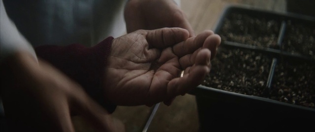 Video Reference: Gesture, Finger, Thumb, Wrist, Nail, Wrinkle, Wood, Holding hands, Event, Flesh