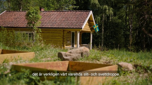 Video Reference: Plant, Plant community, Natural environment, Window, Natural landscape, Building, Wood, Land lot, Vegetation, Grass