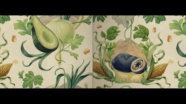 Video Reference: Plant, Terrestrial plant, Petal, Flower, Painting, Art, Serveware, Illustration, Drawing, Rectangle