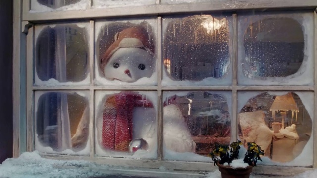 Video Reference: Plant, Window, Vertebrate, Flowerpot, Houseplant, Textile, Organism, Display case, Art, Glass