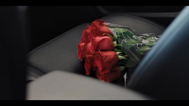 Video Reference: red roses, bouquet, flowers, car interior, car seat, wrapped bouquet, gift, romance, valentine, floral, close-up, still life