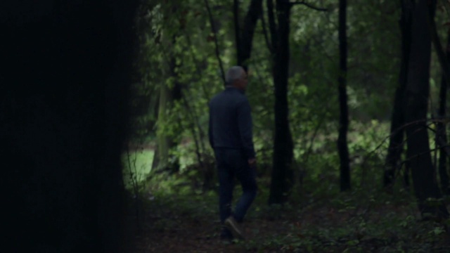 Video Reference: Plant, People in nature, Wood, Natural landscape, Tree, Terrestrial plant, Trunk, Tints and shades, Landscape, Grass