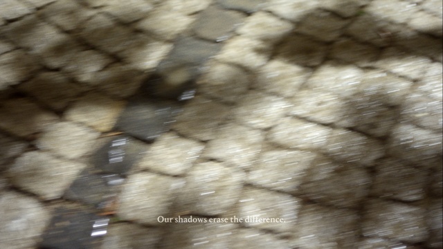 Video Reference: Wood, Trunk, Tints and shades, Pattern, Road surface, Tree, Grass, Close-up, Twig, Flooring