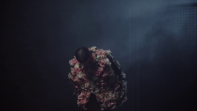 Video Reference: Plant, Water, Underwater, Cloud, Sky, Marine biology, Flower, Tree, Coral, Coral reef