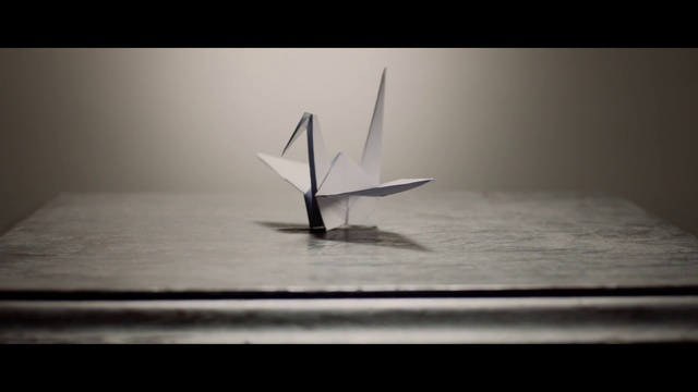 Video Reference: Water, Wheel, Vehicle, Body of water, Style, Black-and-white, Font, Lake, Wing, Wind