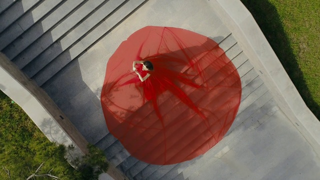 Video Reference: Plant, Leaf, Orange, Wood, Shade, Umbrella, Tints and shades, Leisure, Symmetry, Circle