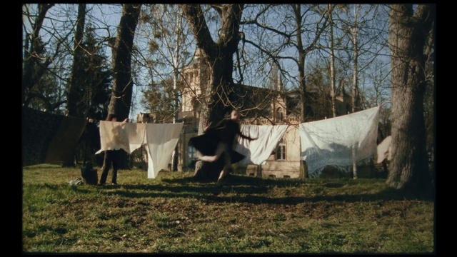 Video Reference: Plant, Tree, Wood, Sunlight, Trunk, Sky, Rural area, Grass, Landscape, Tints and shades