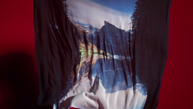 Video Reference: Window, Textile, Sunlight, Wood, Tints and shades, Electric blue, Art, Visual arts, Magenta, Shadow