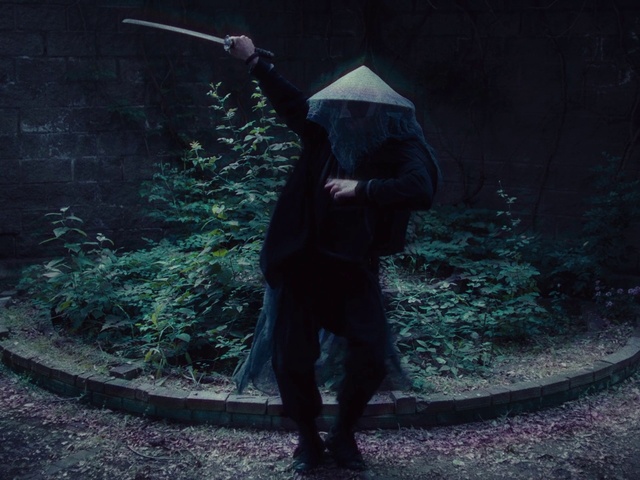 Video Reference: Plant, Flash photography, Hat, People in nature, Grass, Tints and shades, Art, Forest, Darkness, Electric blue