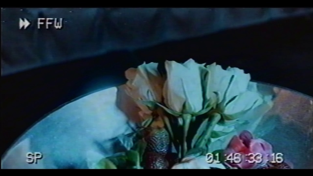 Video Reference: Flower, Petal, Plant, Art, Font, Dishware, Artichoke, Symmetry, Electric blue, Event