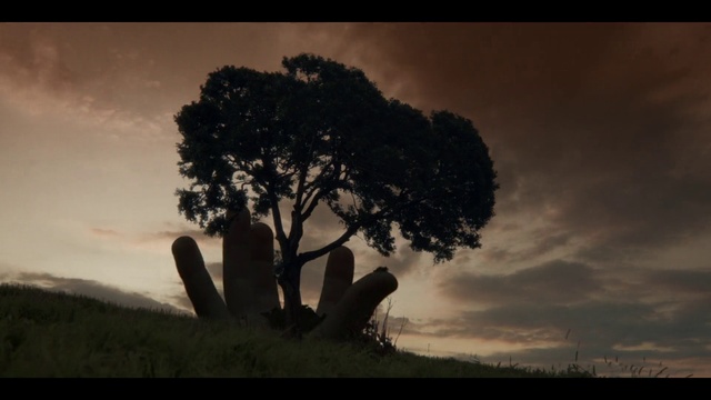 Video Reference: Cloud, Sky, Atmosphere, Plant, World, Natural landscape, Leaf, Wood, Branch, Flash photography