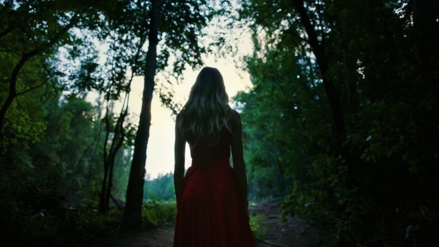 Video Reference: Plant, Sky, Flash photography, Wood, People in nature, Tree, Natural landscape, Trunk, Terrestrial plant, Grass