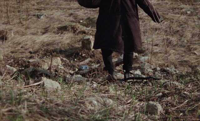 Video Reference: Plant, People in nature, Wood, Grass, Farmer, Hat, Working animal, Agriculture, Human leg, Farmworker