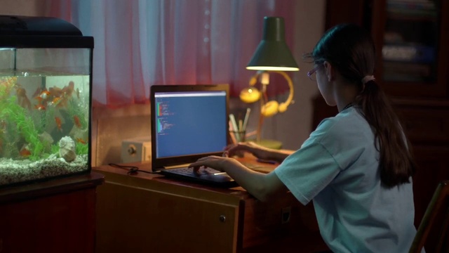 Video Reference: Computer, Personal computer, Green, Computer monitor, Hat, Desk, Art, Fun, Technology, Electronic device