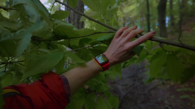 Video Reference: People in nature, Gesture, Terrestrial plant, Finger, Tree, Twig, Wood, Forest, Trunk, Watch