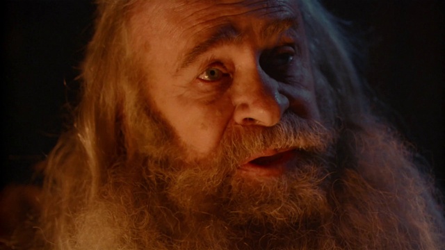 Video Reference: Forehead, Nose, Lip, Beard, Human body, Jaw, Eyelash, Facial hair, Moustache, Long hair