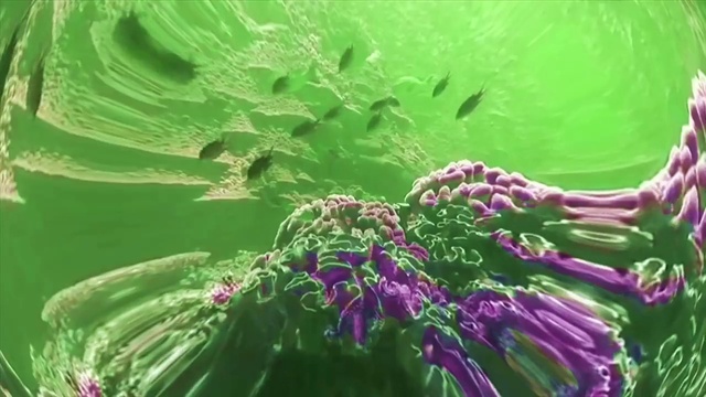 Video Reference: Water, Liquid, Flower, Leaf, Botany, Terrestrial plant, Organism, Grass, Flowering plant, Aquatic plant