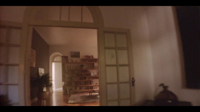 Video Reference: Wood, Fixture, Shelf, Flash photography, Tints and shades, Shelving, Window, Door, Building, Darkness