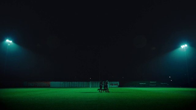 Video Reference: Atmosphere, Light, Green, Lighting, Grass, Player, Grassland, Sky, Horizon, Tree