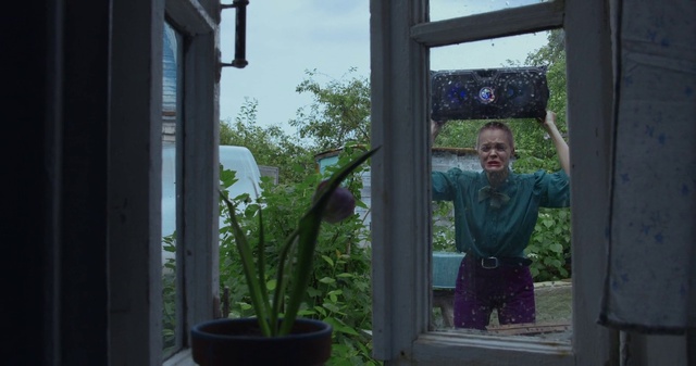 Video Reference: Plant, Sky, Flowerpot, Fixture, Houseplant, Wood, Grass, Shade, Tints and shades, Window