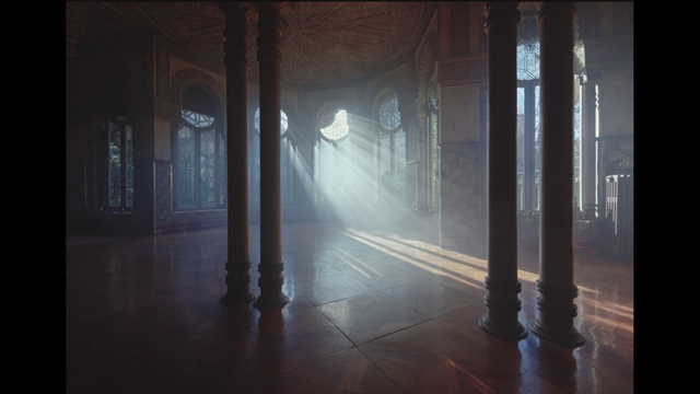 Video Reference: Atmosphere, Street light, Water, Wood, Automotive lighting, Fog, Sunlight, Atmospheric phenomenon, Shade, Tree