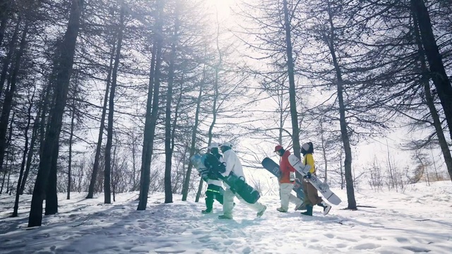 Video Reference: Sky, Snow, People in nature, Tree, Slope, Plant, Freezing, Ski Equipment, Sports equipment, Recreation