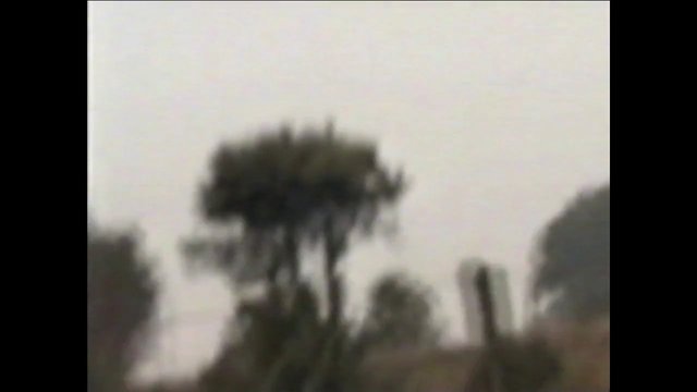 Video Reference: outdoor, trees, silhouette, sky, landscape, blurry, nature, horizon, lowlight, abstract