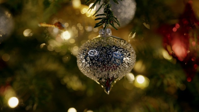 Video Reference: Christmas tree, Plant, Branch, Christmas ornament, Twig, Evergreen, Holiday ornament, Christmas decoration, Ornament, Event