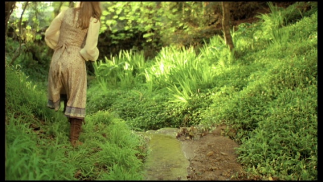 Video Reference: Plant, People in nature, Tree, Terrestrial plant, Natural landscape, Grass, Woody plant, Groundcover, Trunk, Wood