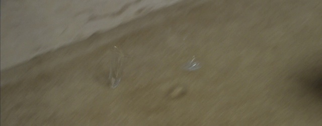 Video Reference: Grass, Landscape, Wood, Sand, Soil, Beach, Aeolian landform