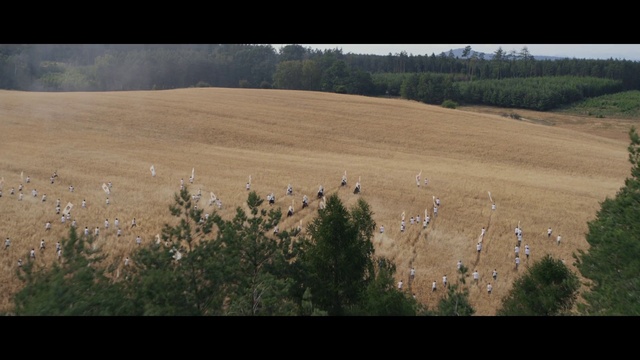 Video Reference: Plant community, Ecoregion, Plant, Sky, Natural landscape, Slope, Land lot, Grass, Grassland, Tree