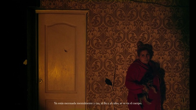 Video Reference: Brown, Door, Wood, Tints and shades, Pattern, Art, Home door, Event, Visual arts, Darkness