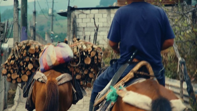 Video Reference: Horse, Working animal, Horse supplies, Horse tack, Rural area, Bridle, Hat, Recreation, Pack animal, Sorrel