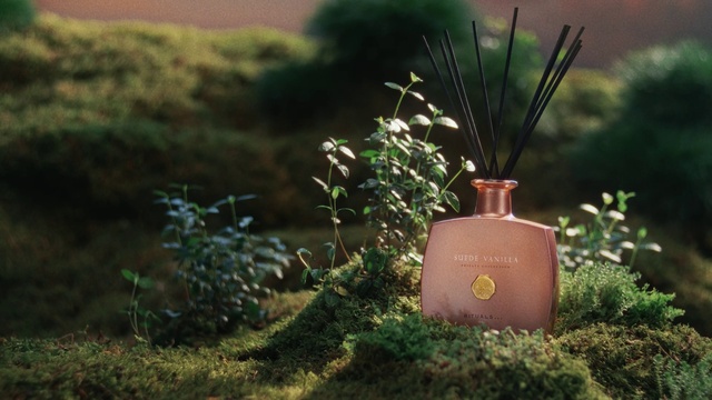 Video Reference: Plant, Plant community, Wood, Sunlight, Grass, Landscape, Natural landscape, Shrub, Flowerpot, Gas