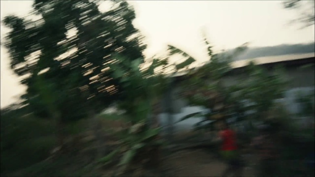 Video Reference: Atmosphere, Plant, Natural environment, Automotive lighting, Branch, Sky, Natural landscape, Grass, Wood, Tints and shades