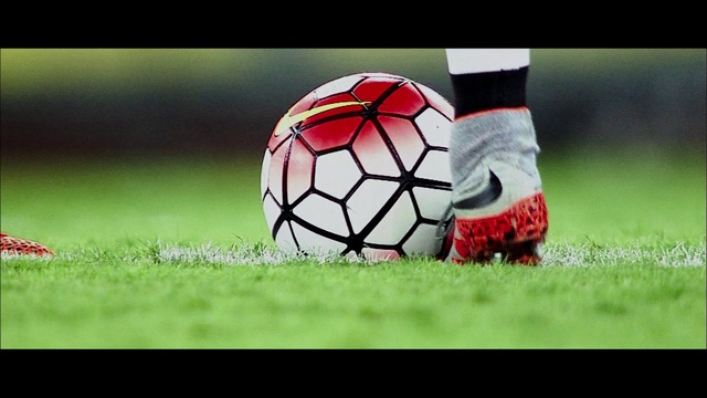 Video Reference: Sports equipment, Soccer, Football, Sports gear, Ball, Player, Plant, Grass, Soccer ball, Ball game