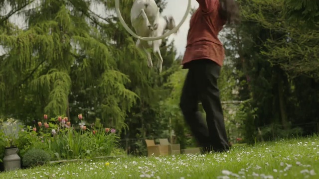 Video Reference: Flower, Plant, People in nature, Natural environment, Botany, Grass, Happy, Terrestrial plant, Natural landscape, Tree