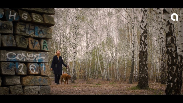 Video Reference: Dog, Plant, People in nature, Wood, Carnivore, Tree, Flash photography, Sunlight, Grass, Trunk