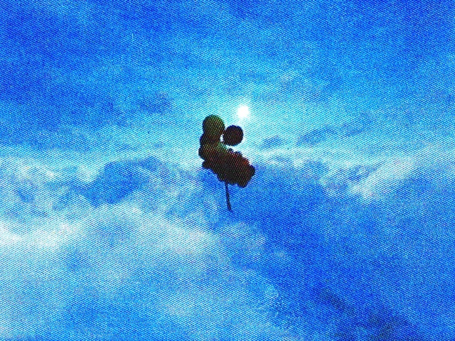 Video Reference: People in nature, Gesture, Sky, Happy, Cloud, Electric blue, Slope, Leisure, Pattern, Cumulus