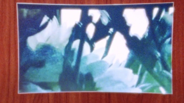 Video Reference: Rectangle, Azure, Textile, Organism, Paint, Art, Font, Plant, Aqua, Display device