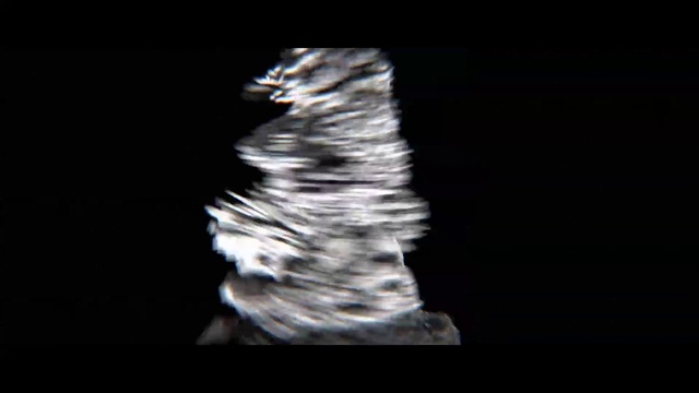 Video Reference: Head, Water, Arm, Plant, Human body, Flash photography, Event, Font, Electric blue, Tree